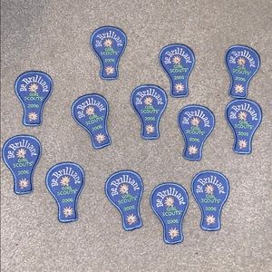 13 2006 Girl Scout badges